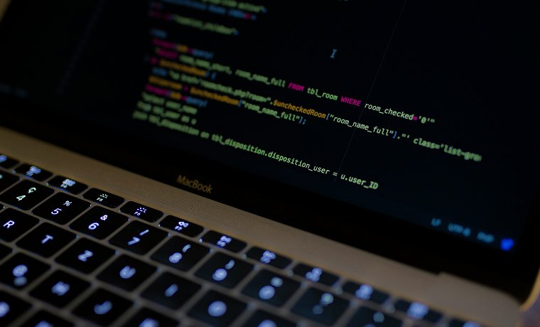 Website development